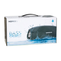 Колонка Hopestar H43 (30)