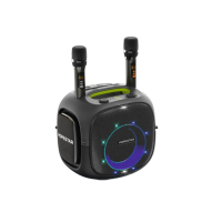 Колонка Hopestar partyone ULTIMATE 240W (2 микрофона) (4)